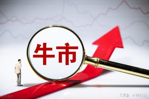 知識產權保護概念股蓄勢待發 政策風口下，龍頭引領行業機遇