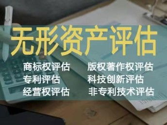 西安無形資產價值評估與相關服務解析